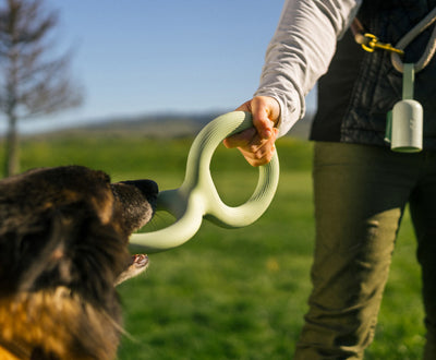 Light green rubber pet bite and pull toy shaped like a figure eight, with a ribbed texture on one end. - Image 8