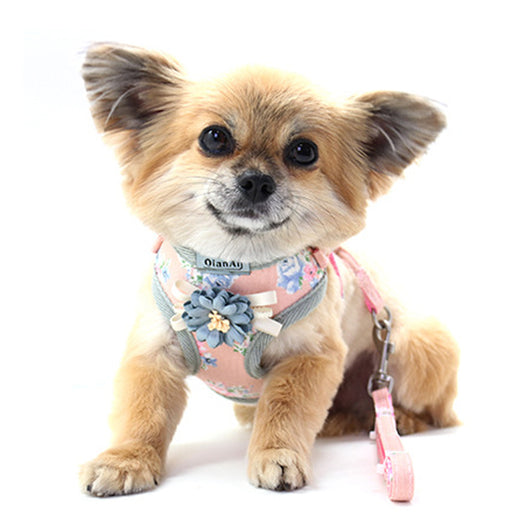 Arnés de Pecho Floral para Perro Verano con Correa - Image 8