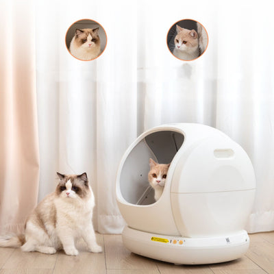 Arenero Automático Extragrande para Gatos - Image 9