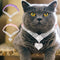 Collar para Gato con Diamantes y Ante Suave - Diseño Elegante Brilla