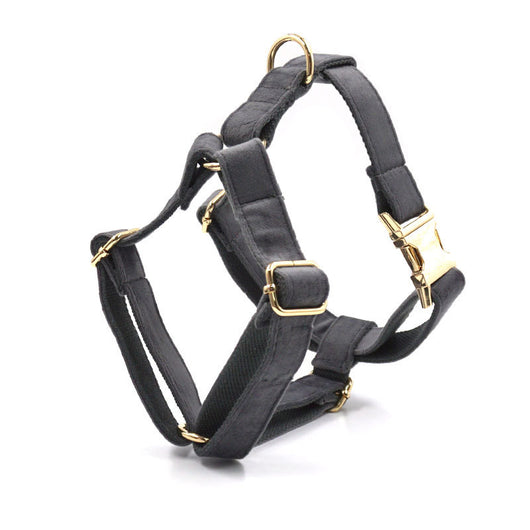 Collar y Correa para Mascotas en Terciopelo Gris Oscuro - Image 5