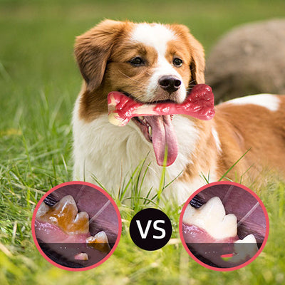 Juguete Masticable para Perros Grandes - Hueso Resistente a Mordidas - Image 8