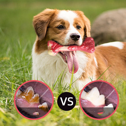 Juguete Masticable para Perros Grandes - Hueso Resistente a Mordidas - Image 8
