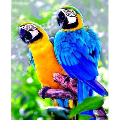 Cuadro Diamante 5D Loro Parrot - Pintura Cristal Punto de Cruz Animal