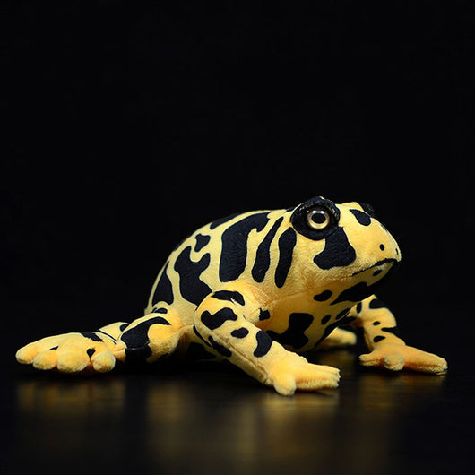Peluche Educativo Rana Venenosa - Juguete Realista de Animal Simulado - Image 9