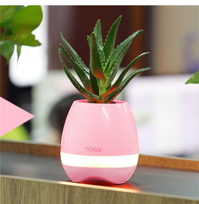 Florero Musical Táctil con Altavoz Integrado - Image 13