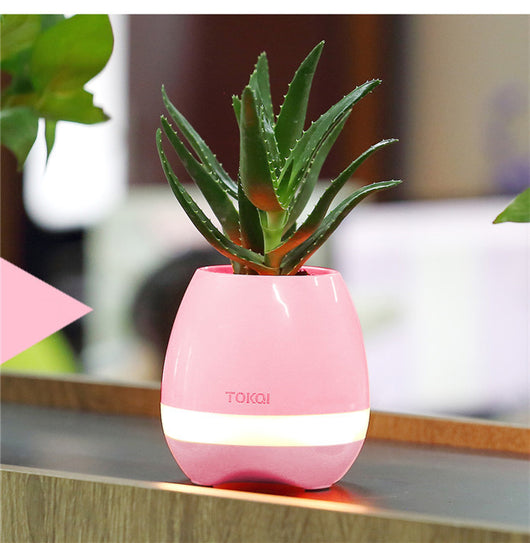 Florero Musical Táctil con Altavoz Integrado - Image 13
