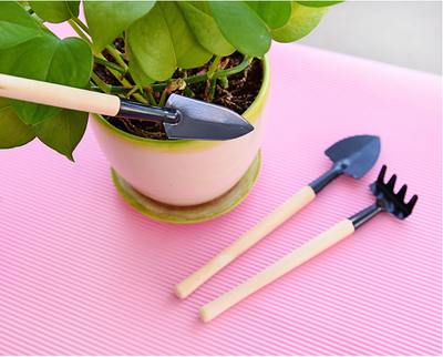 Set de 3 Herramientas Mini para Jardinería - Pala, Rastrillo y Desmalezador - Image 8