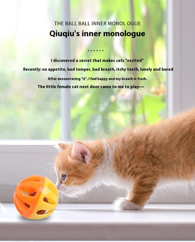 Five colorful plastic pet bell balls in red, yellow/orange, lime green, and hot pink, with hollow designs. - Image 6