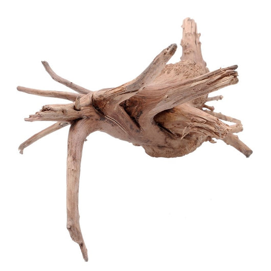 Raíz de Árbol Sumergida para Acuario - Decoración Natural de Madera - Image 3