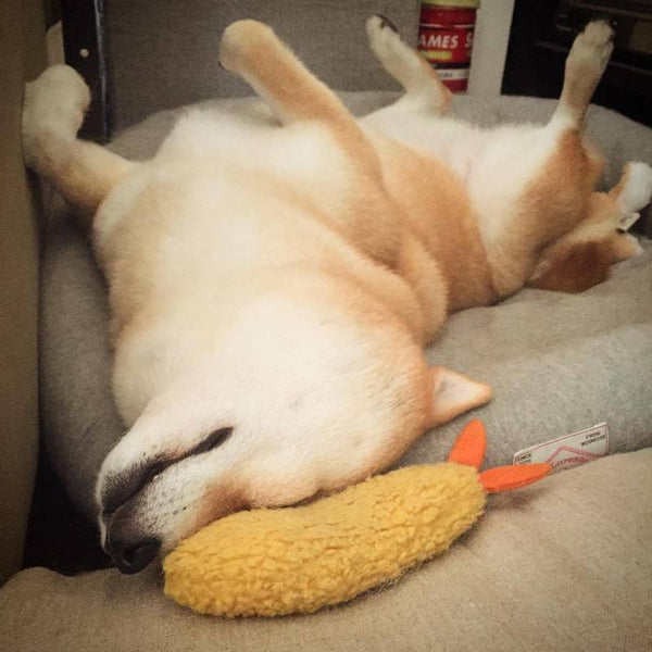 Juguete Masticable para Perros Tempura de Camarón con Sonido Chirriante
