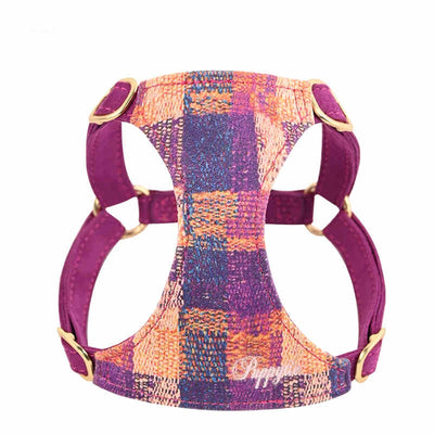 Arnés de Paseo con Cuerda de Mano para Perros - Image 3