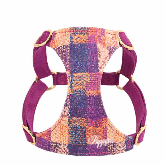 Arnés de Paseo con Cuerda de Mano para Perros - Image 3