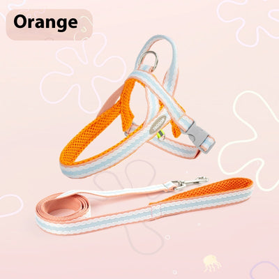 Arnés Portátil para Perro con Cuerda de Mano - Image 9