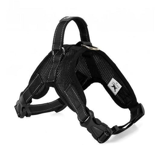 Blue and black mesh dog harness with adjustable straps, a D-ring for leash attachment, and a quick-release buckle. - Image 11