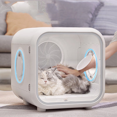 Secador Automático de Pelaje para Gatos