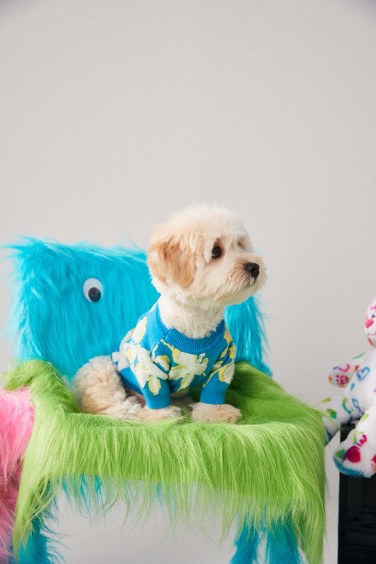 Suéter Cálido para Perros y Gatos - Abrigo de Invierno Teddy Bear Bomekoki - Image 3