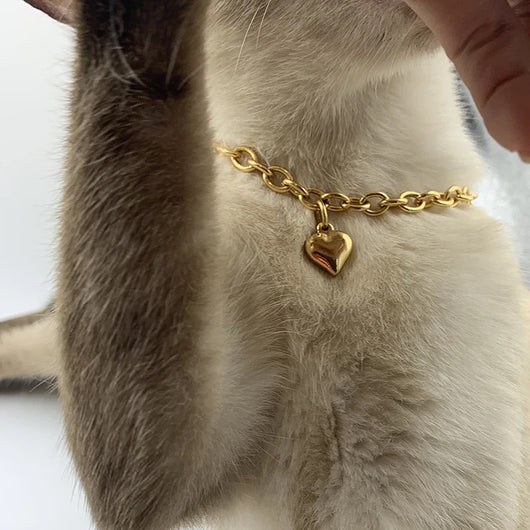 Collar Colgante Corazón Acero Inoxidable para Mascotas - Amor Felino y Canino - Image 4