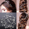 Accesorios para el Cabello de Novia con Cristales y Perlas