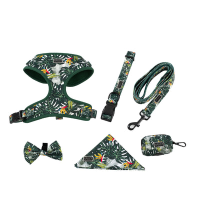 Arnés Ajustable para Perro con Cuerda de Tracción - Image 4