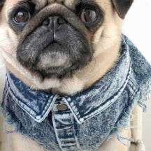 Chaqueta de Mezclilla Lavada para Perros - Ropa Cómoda y Elegante - Image 7