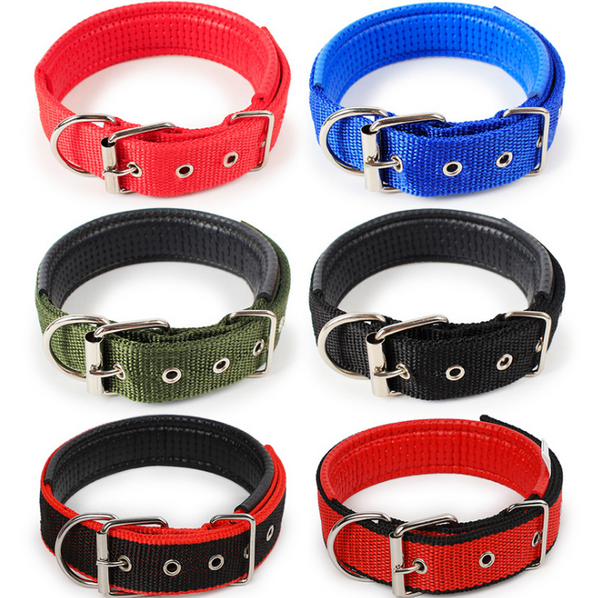 Collar para Mascotas con Forro de Cuero Suave y Espuma Protectora