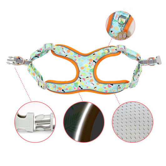 Correa y Collar para Perros Pequeños - Diseño Teddy Corgi - Image 11