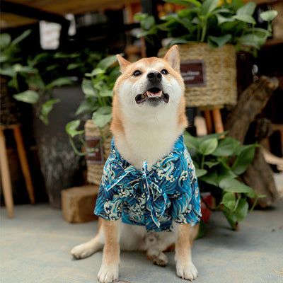 Kimono Tradicional Japonés para Shiba Inu - Image 3