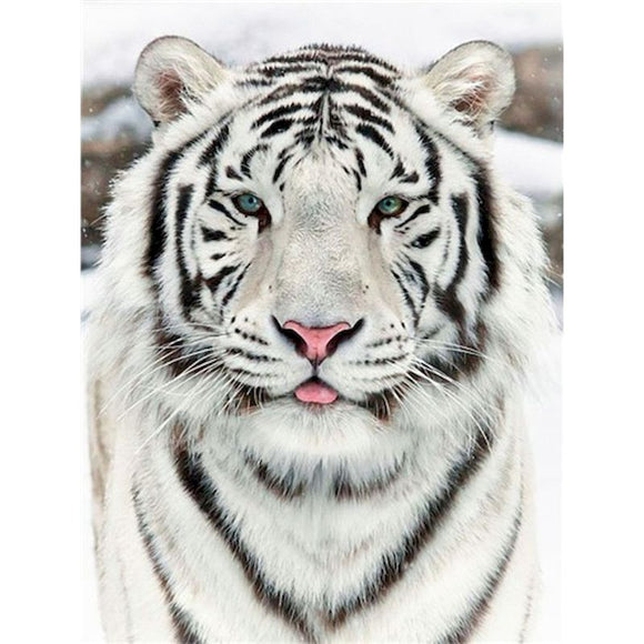 Pintura por Números Tigre Blanco