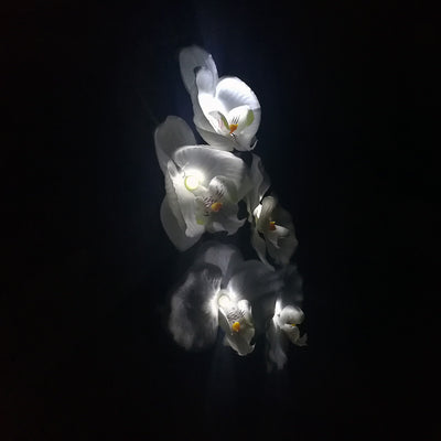 Luz Solar LED Flor Orquídea con 5 Cabezales - Image 2