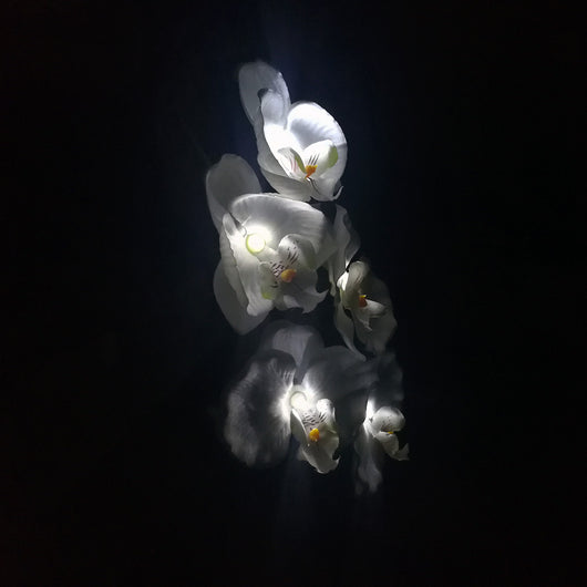 Luz Solar LED Flor Orquídea con 5 Cabezales - Image 2