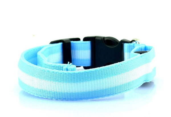 Collar LED Luminoso para Mascotas con Fibra Óptica - 6 Colores y 3 Tallas - Image 4