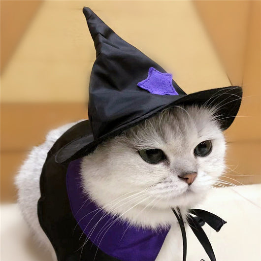Disfraz de Mago para Mascotas - Set Completo de Decoración Halloween - Image 6
