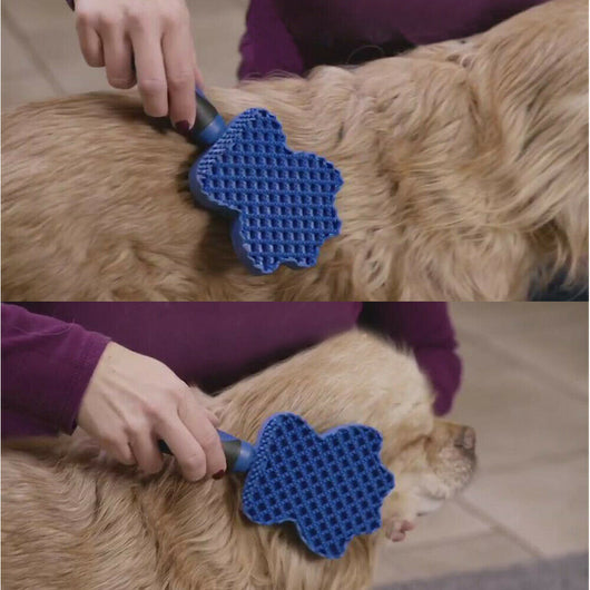 Cepillo Deslanador Suave para Mascotas - Grooming Profesional - Image 3