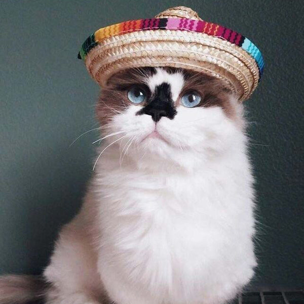 Sombrero de Paja Mini para Mascotas