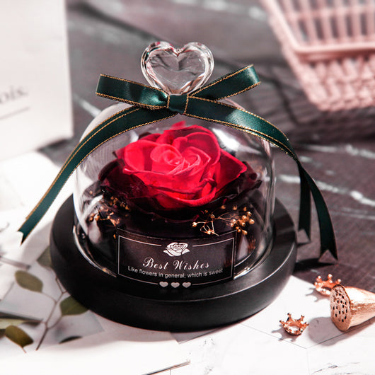 Rosas Eternas con LED en Vidrio - Flores Secas para Decoración y Regalos - Image 10