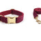 Collar Juego De 2 Piezas XS