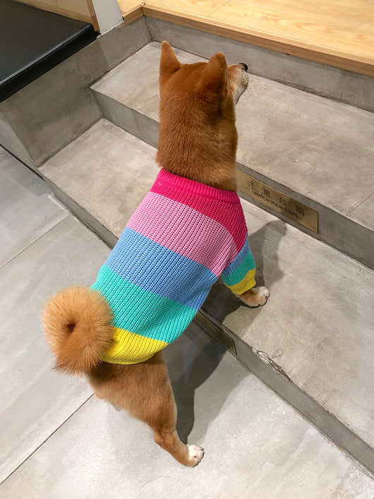Suéter Arcoíris para Perros - Image 4