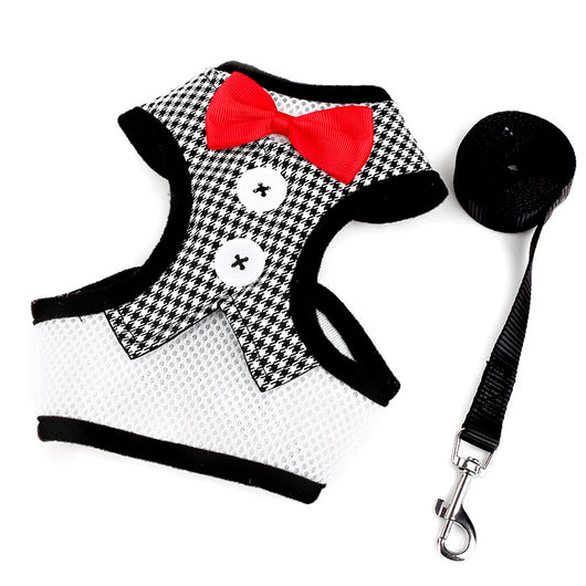Arnés para Perro Pequeño Estilo Chaleco Teddy con Lazo Elegante - Image 7