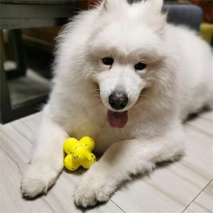 Pelota Calmante para Perros - Apoyo Emocional y Relajación - Image 7