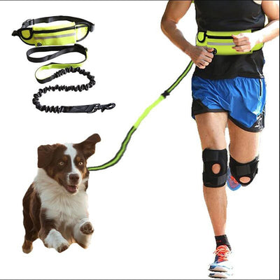 Red hands-free dog leash set with a waist belt, zippered phone pocket, and a black shock-absorbing bungee leash. - Image 14