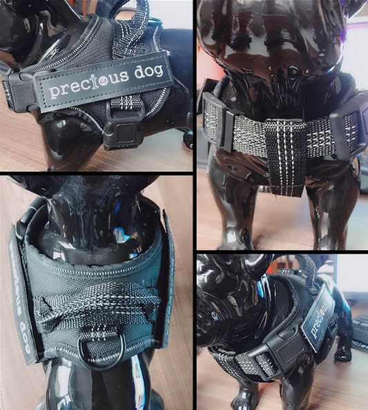 Arnés de Seguridad para Mascotas - Image 2