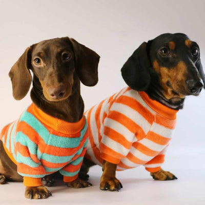 Sudadera Casual para Perros y Gatos - Image 9