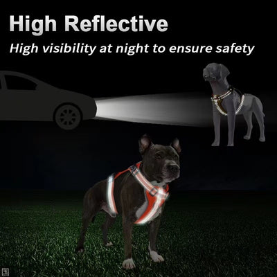 Arnés de Pecho con Cuerda de Tracción para Perros Pequeños, Medianos y Grandes - Image 12