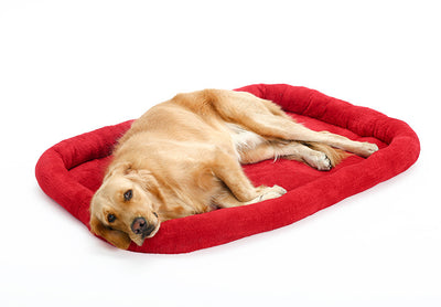 Cojín de Terciopelo para Mascotas - Image 4