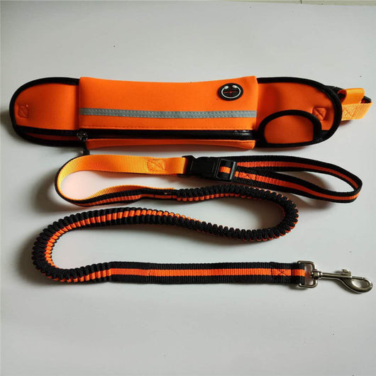 Correa de Tracción Deportiva con Bolsa de Cintura Reflectante e Impermeable - Image 9