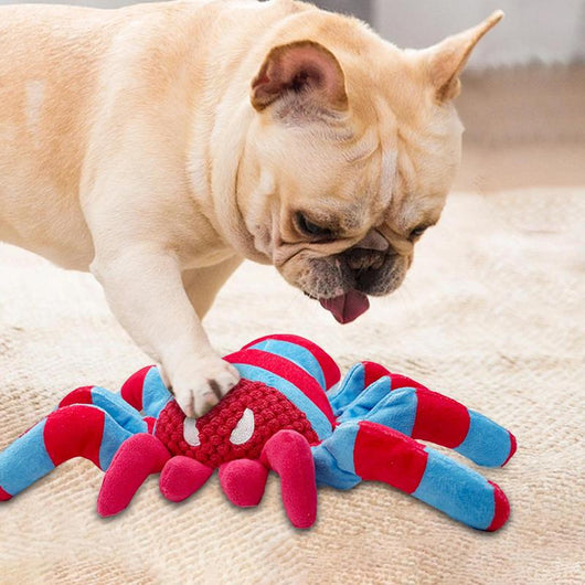 Juguete Resistente para Perros - Limpieza Dental y Alivio del Aburrimiento - Image 8