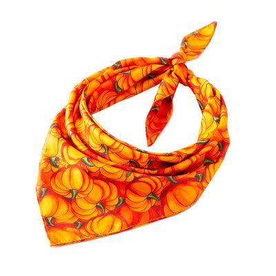 Toalla Absorbente para Mascotas Halloween - Image 25