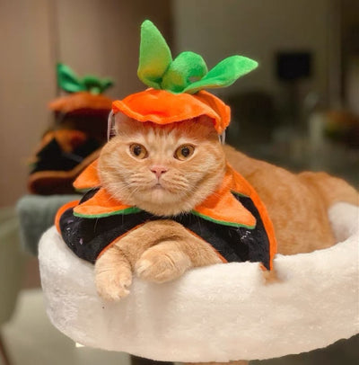 Capa Reversible de Calabaza para Perros - Disfraz Halloween Doble Cara - Image 14