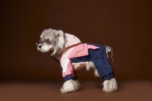 Ropa Deportiva para Perros Bichon Schnauzer con Arnés de Seguridad VIP - Image 5